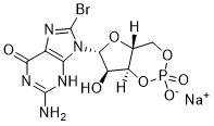8-Br-cGMP 51116-01-9